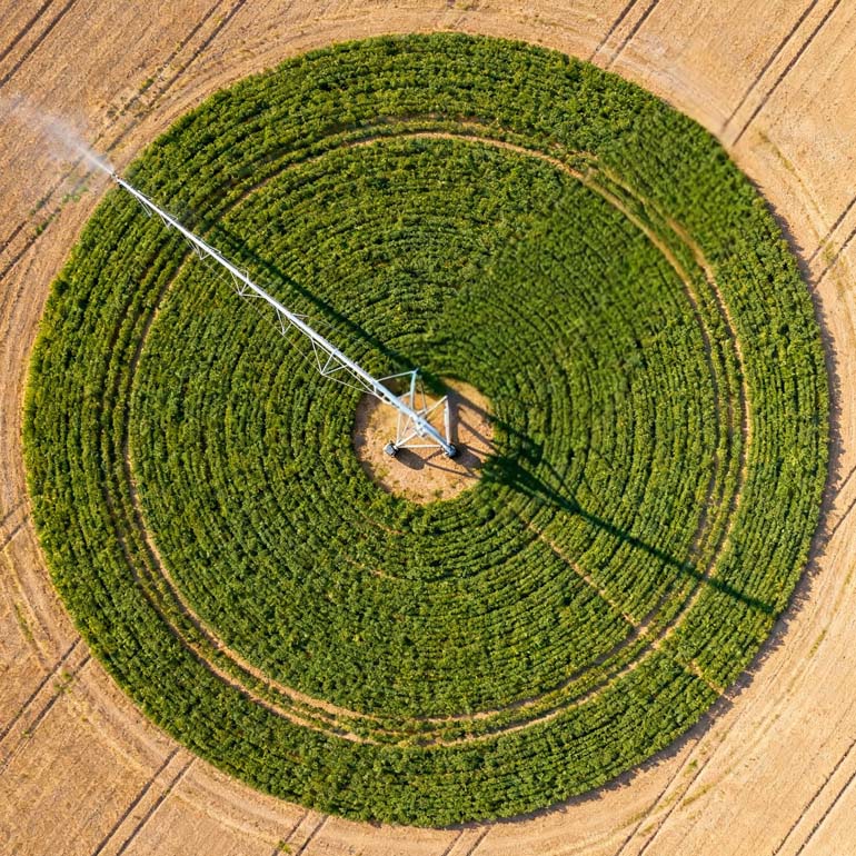 Finca-Las-Iniestas-parcela-1-pivot-riego Albacete-Finca-Las-Iniestas-pivot-riego