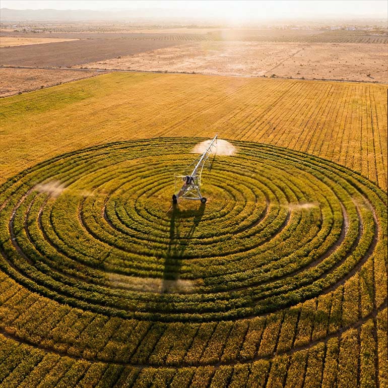 Finca-Las-Iniestas-parcela-4-pivot-riego Albacete-Finca-Las-Iniestas-pivot-riego-4