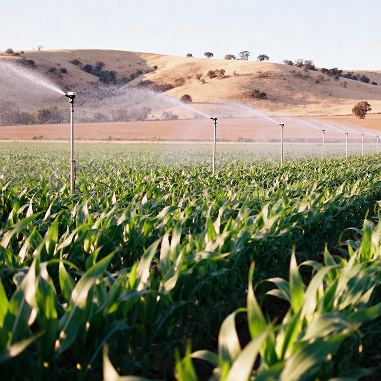 Finca-Las-Iniestas-parcela-2-cobertura-riego Finca-Las-Iniestas-parcela-coberturas-riego
